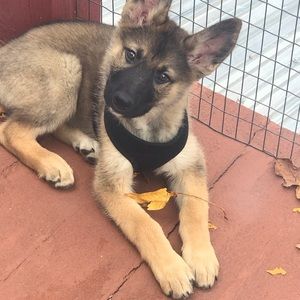 Meet your Posher, Kathy